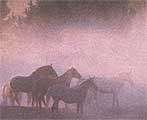 The Seasonal Almanac: Weather Phenomena of Fog and Comet Hale-Bopp